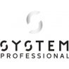 System Professional